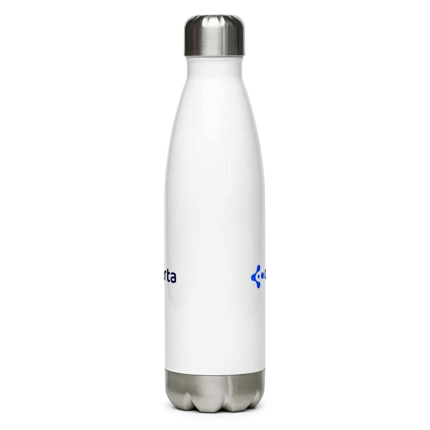 17oz. Stainless Steel Water Bottle